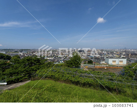 斜面の葡萄畑と街の風景 103083741