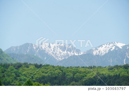 満開に咲いた松本のバラ園とアルプスの山 103083797