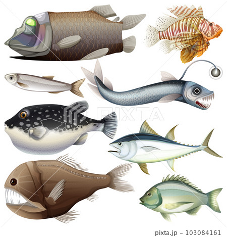 Deep Sea Underwater Creature Vector Set Deep Sea Underwater Creature Vector Set 103084161