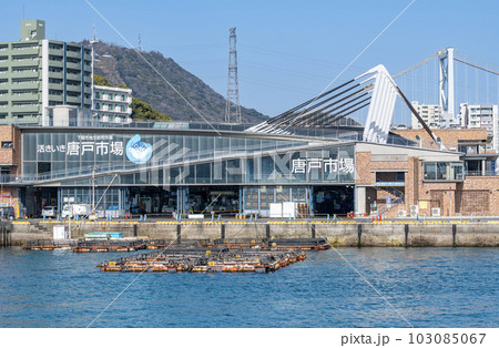 山口県下関市 フグの競りでお馴染みの水産市場で人気の観光地と有名な唐戸市場 山口県下関市 フグの競りでお馴染みの水産市場で人気の観光地と有名な唐戸市場 103085067