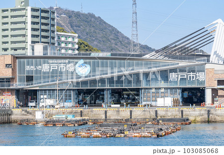 山口県下関市 フグの競りでお馴染みの水産市場で人気の観光地と有名な唐戸市場 山口県下関市 フグの競りでお馴染みの水産市場で人気の観光地と有名な唐戸市場 103085068