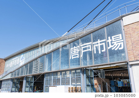 山口県下関市　フグの競りでお馴染みの水産市場で人気の観光地と有名な唐戸市場 103085080