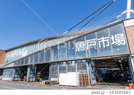 山口県下関市　フグの競りでお馴染みの水産市場で人気の観光地と有名な唐戸市場 103085085