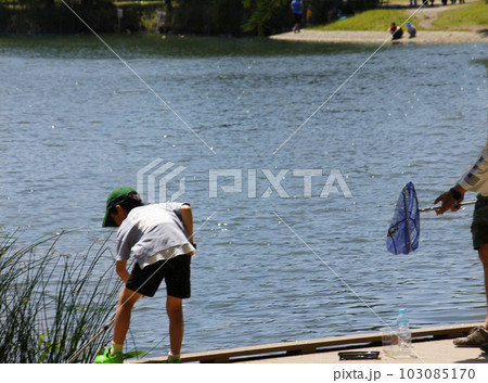 少年は公園の大きな池で小魚を狙って網を使う。獲物はペットボトルに入れて家の水槽に 103085170