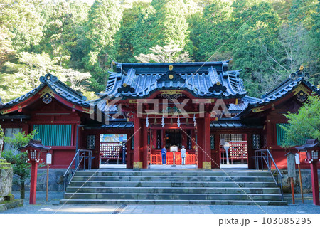 箱根神社　御社殿（本殿）と狛犬 103085295