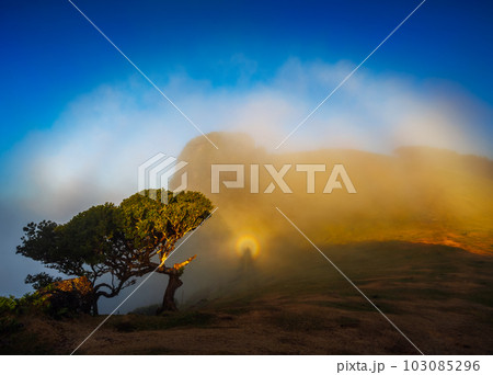 A Brocken spectre - optical phenomana. Also called Brocken bow, mountain spectre, or spectre of the Brocken 103085296