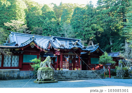箱根神社　御社殿（本殿）と狛犬 103085301