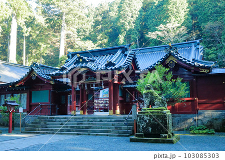 箱根神社　御社殿（本殿）と狛犬 103085303