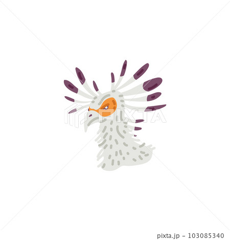 Secretarybird african bird head flat vector illustration isolated on white. Secretarybird african bird head flat vector illustration isolated on white. 103085340