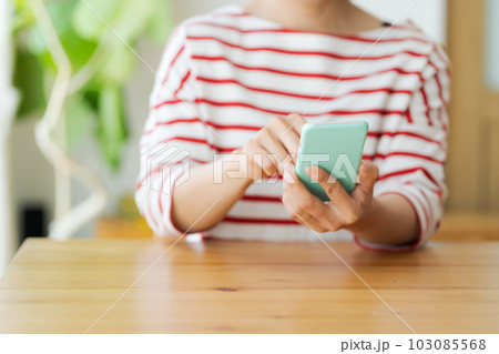 携帯電話を操作する主婦の手元写真 携帯電話を操作する主婦の手元写真 103085568