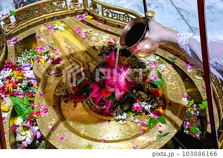 Hindu Devotees offering milk And Water to Shiv Lingam on occasion of Abhishekam in India Hindu Devotees offering milk And Water to Shiv Lingam on occasion of Abhishekam in India 103086166