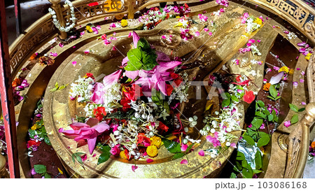 Hindu Devotees offering milk And Water to Shiv Lingam on occasion of Abhishekam in India Hindu Devotees offering milk And Water to Shiv Lingam on occasion of Abhishekam in India 103086168