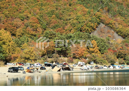紅葉の本栖湖湖畔 103086364