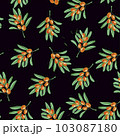 Vector pattern seamless sea buckthorn branches on a white background,beautiful sea buckthorn,sea buckthorn oil,sea buckthorn juice vector on a dark background. 103087180