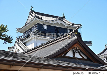 三河国「岡崎城」　天守閣や石垣と曲輪 103087407