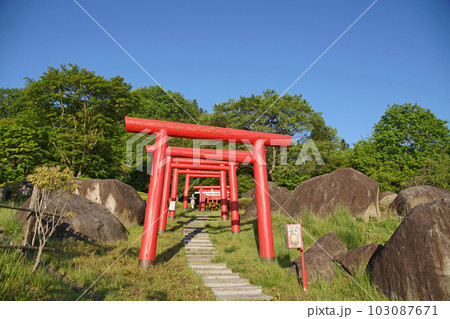 母畑温泉　正一位忠兵衛稲荷の朱色の鳥居（春、五月） 103087671
