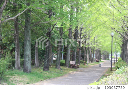 駅東公園 103087720