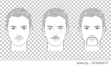 Beard style variations - Stock Illustration [103088257] - PIXTA