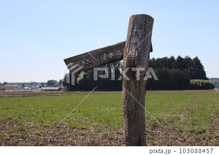 おだきさん 103088457