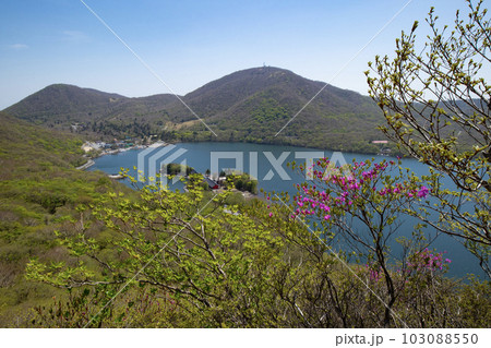 新緑の赤城山から見下ろす大沼 103088550