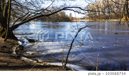 Trees on the shore of a frozen lake in spring. Trees on the shore of a frozen lake in spring. 103088734