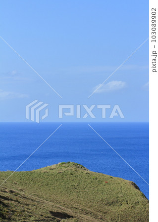 東シナ海の青い海に映える緑の奄美大島宮古崎の美しい景色 東シナ海の青い海に映える緑の奄美大島宮古崎の美しい景色 103089902