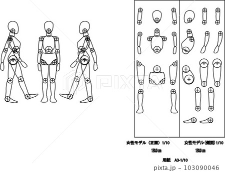 女性モデル身長130cm 103090046