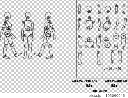 女性モデル身長130cm 103090046