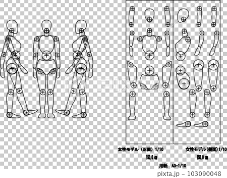 女性モデル身長150cm 女性モデル身長150cm 103090048