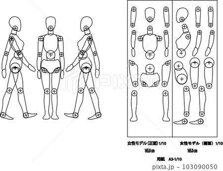 女性モデル身長165cm 女性モデル身長165cm 103090050