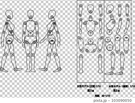 女性モデル身長165cm 女性モデル身長165cm 103090050