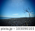 ちょっと寂しげな海 103090103