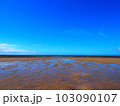 干潮時に現れる幻の砂浜 103090107
