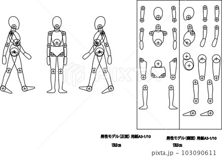 男性身長130cm 103090611
