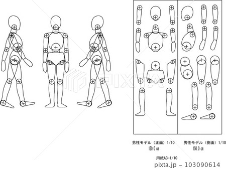 男性身長150cm 103090614