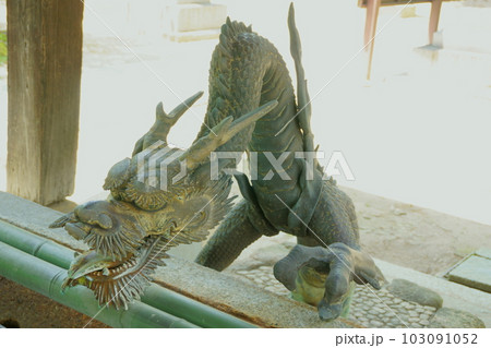名古屋城総鎮守 那古野神社 手水舎の龍 名古屋城総鎮守 那古野神社 手水舎の龍 103091052