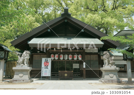 名古屋城総鎮守　那古野神社　拝殿2 103091054