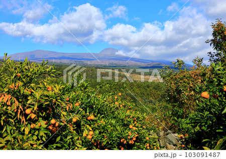 It is a beautiful landscape of Hallasan, a famous mountain in Jeju Island, South Korea. It is a beautiful landscape of Hallasan, a famous mountain in Jeju Island, South Korea. 103091487