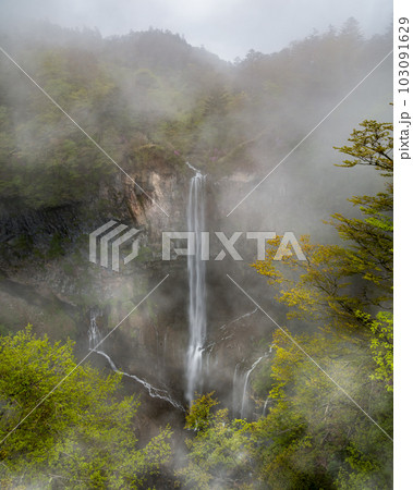 栃木県日光市　イワツバメが舞う初夏の華厳の滝 103091629