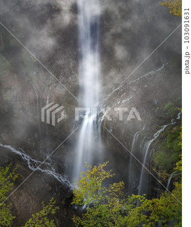 栃木県日光市 イワツバメが舞う初夏の華厳の滝の写真素材 [103091631] - PIXTA