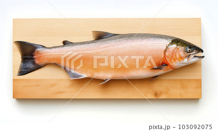 Fish salmon on wooden cutting board. Delicious organic healthy food. Omega 3 supply pink trout top view close up photo Fish salmon on wooden cutting board. Delicious organic healthy food. Omega 3 supply pink trout top view close up photo 103092075