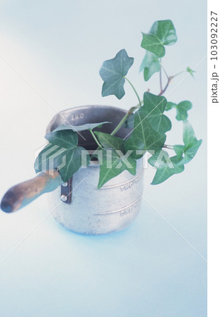 ヴィンテージ感あるカップと観葉植物 103092227
