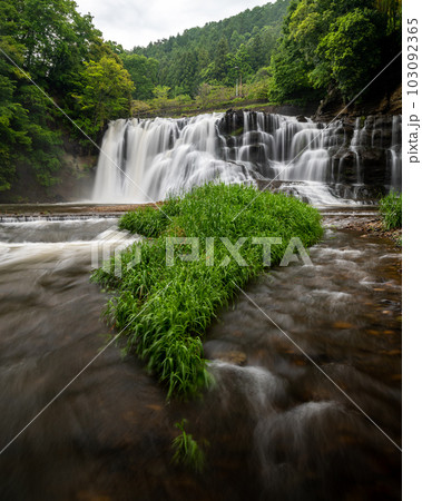 栃木県那須烏山市　新緑の龍門の滝 103092365