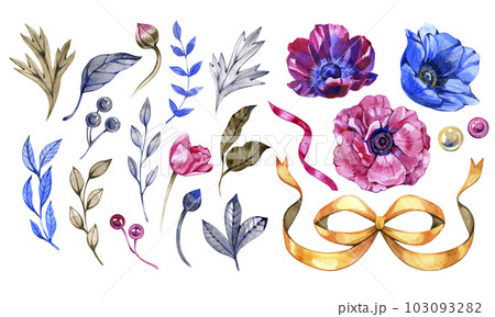 Set flowers in vintage style. Hand painted anemones isolated on white background. Watercolor illustration. Set flowers in vintage style. Hand painted anemones isolated on white background. Watercolor illustration. 103093282
