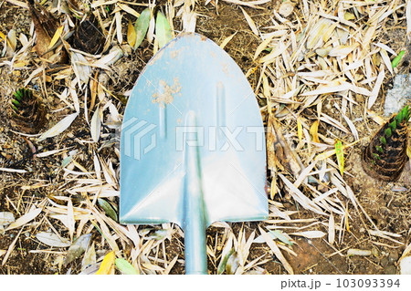 春の味覚たけのことスコップ、たけのこ掘り 103093394