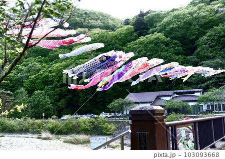 生きのよい鯉のぼり 生きのよい鯉のぼり 103093668