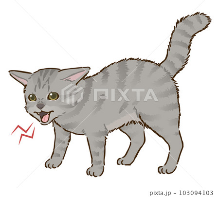 怒る猫（サバトラ、短毛） 103094103