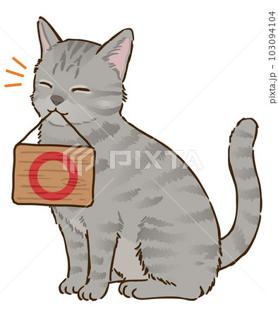 丸マークを描いた看板を咥える猫（サバトラ、短毛） 103094104