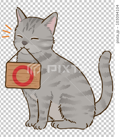 丸マークを描いた看板を咥える猫（サバトラ、短毛） 103094104