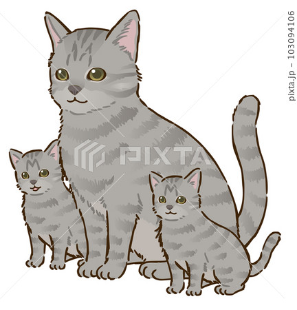 猫の親子（サバトラ、短毛） 103094106